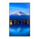 MONITOR PROFESIONAL SHARP 55, PN-P556 LED, 24/7, 700 CD/M2, 10 BIT, UHD, HDMI IN/OUT ARC, DP IN/OUT, USB, CONT.80001 COMPATIBLE INTEL SDM, RASPBERRY PI, CRESTRON CCV2, XIO CLOUD Y DICOM