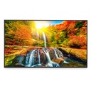 Monitor Profesional Sharp de 50 PN-ME502 UHD 3840 X 2160 18