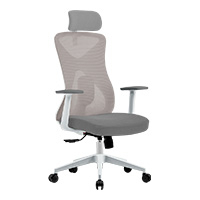 SILLA ERGONOMICA ACTECK FLOE PRO EC737 / INCLINACION 35 GRADOS / MARIPOSA CLASE 4 / MAX 120 KG / PISTON CLASE 4 / REPOSABRAZOS FIJO / BLANCO / AC-937245