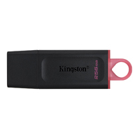 Memoria Flash USB Kingston Data Traveler Exodia 256GB Gen 1 3.2 Tipo