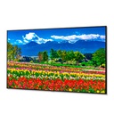 MONITOR PROFESIONAL DE 75 NEC M751 UHD 3840 X 2160 24/7, 500 CD/M2 COMPATIBLE CON INTEL SDM Y RPI COMPUTE MODULE 4, VERTICAL/HORIZONTAL, 2 HDMI/HDCP, 2 DISPLAYPORT/HDCP, VGA, RJ-45