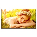 MONITOR DE SEÑALIZACION DIGITAL LG DE 65 PLG USO 24/7 BRILLO 500 NITS, WEBOS 6.1 3840 X 2160 8MS HDMI 3,RS232 60HZ, ANCHO DEL MARCO 10.8 MM VESA 300 X 300