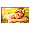 MONITOR DE SEÑALIZACION DIGITAL LG DE 43 PLG USO 24/7 BRILLO 500 NITS, WEBOS 6.1 3840 X 2160 8MS HDMI 3,RS232 60HZ, ANCHO DEL MAROC 12.9 MM VESA 200 X 200