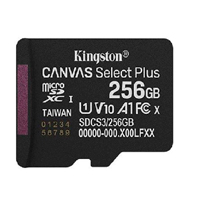 Memoria Flash Micro SD Kingston Sdxc Canvas Select Plus 256GB 150MB