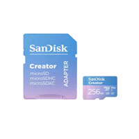 Memoria SanDisk Micro Sdxc Creator 256GB Lect 190MB