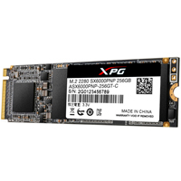 UNIDAD DE ESTADO SOLIDO SSD INTERNO XPG ASX6000 PRO 256GB M.2 2280 NVME PCIE GEN 3X4 LECT.2100 ESCRIT.1500 MBS 3DNAND PC LAPTOP MINIPC GAMER ( ASX6000PNP-256GT-C)