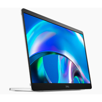 MONITOR DELL LED PORTATIL P1425 14 PULGADAS 1920 X 1080 | 60 HZ | USB-C | 210-BQJT